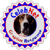 Graphic Responce